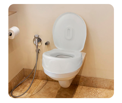 grandthrone-on-toilet1